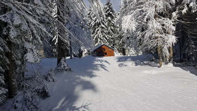 LA BRESSE -  hiver - petitecaille.fr